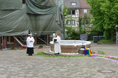 Bluemteppich auf dem Naumburegr Marktplatz (Foto: Karl-Franz Thiede)